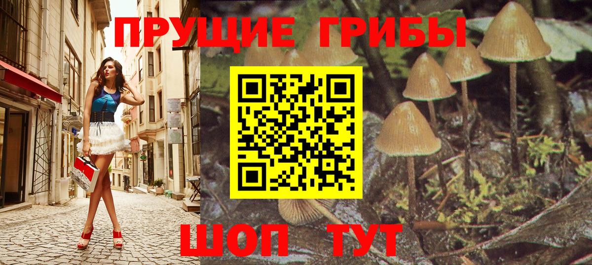 Псилоцибиновые грибы Psilocybine cubensis Ефремов