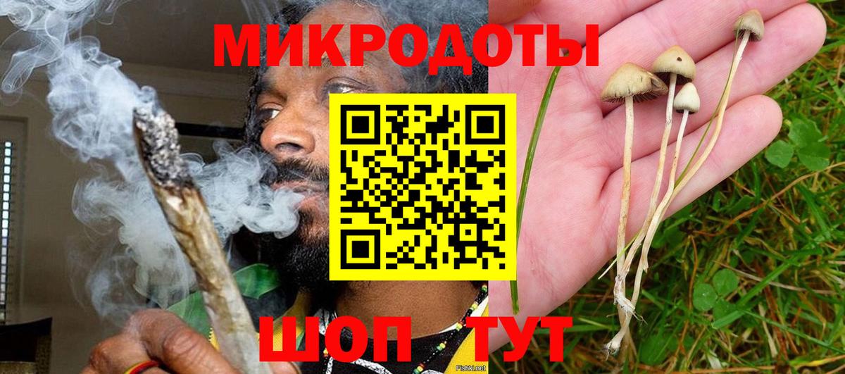 Псилоцибиновые грибы мухоморы  Вход с VPN  Псилоцибиновые грибы мицелий  Ефремов 